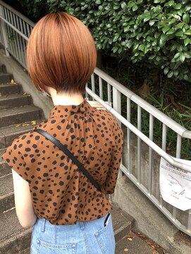 ステラ(stella) オレンジ＋ショート【和田常経】