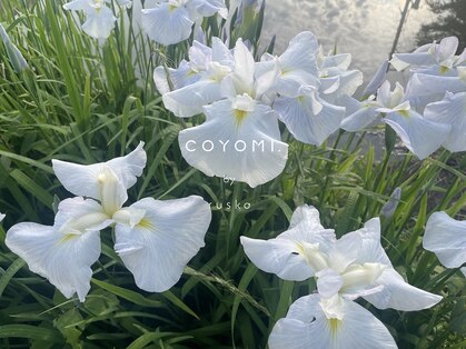 コヨミ バイ ルスカ(coyomi. by ruska)の写真