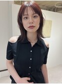 ミディレイヤー