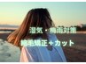 最先端の縮毛矯正のノウハウで☆超ツヤツヤ☆《髪質改善縮毛矯正》＋カット　