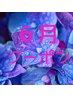 女性限定！6月梅雨を乗り切るクーポン♪