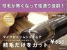 [大人気☆メニュー] 傷んだ髪の枝毛カット ￥550