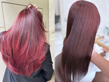 ソエル(Sowel)の写真