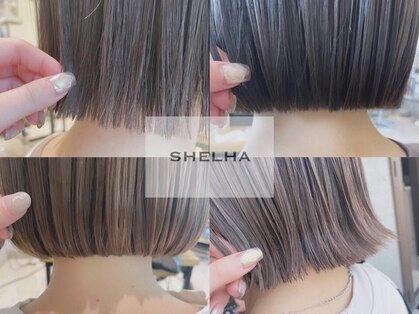 シェルハ(SHELHA)の写真