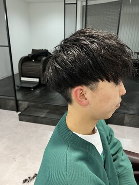 カルロイースタイル(CARLO e-style) Vマッシュ