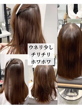 ダル 渋谷/表参道(DAL.) 細くなってきた髪を太らせる