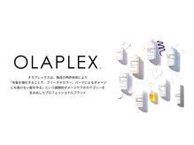 リアン(Le Lien)の雰囲気（大人気のオラプレックスシリーズを取り揃えています(^^)）
