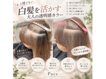 パーチェ(Pace)の雰囲気（白髪や髪のお悩みなどカウンセリングに力を入れてます）