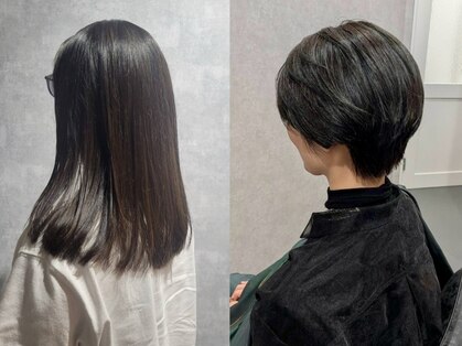 マーシャル(marshaL)の写真