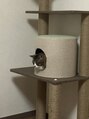 アルバ 津城山店 はい!かわいい(笑)もう!かわいい!名前はにゃん子です!★