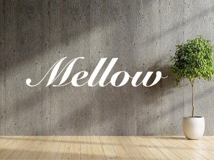 メロー(Mellow)の写真