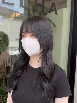 シェルハ(SHELHA) シルバーグレー ブリーチなし透明感カラー 韓国スタイル