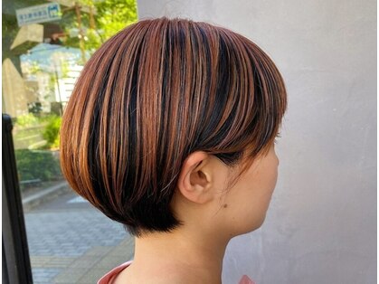 エルラド(LRAD)の写真