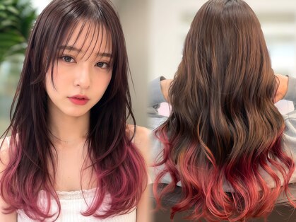 ジエクト ヴィシア(The Ect VIXIA)の写真
