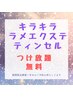 【ティンセル無料】期間限定キャンペーン♪/ティンセルのみの取り付け不可