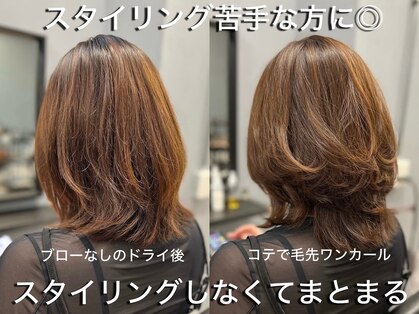 ニュートラル(neutral)の写真