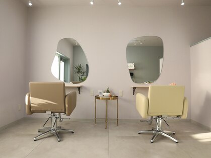 シュガー(Sugar.)の写真