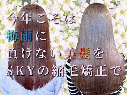 スカイ(SKY)の写真