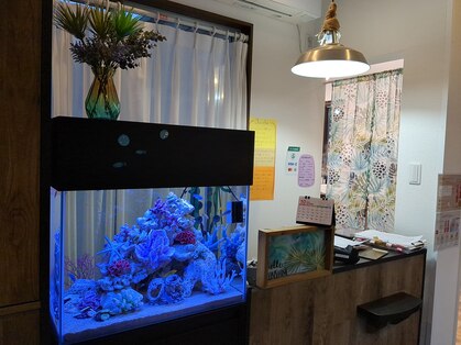 オルオル(`Olu`olu)の写真