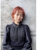 【ゲストスナップ】コーラルウルフ