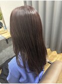 ボルドーブラウンロングヘア