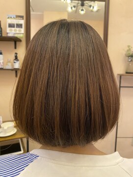 カランコエ(kalanchoe) ボブ