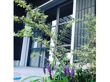 シーソー(SEE-SAW)の雰囲気（お店入口に自転車・小型バイク駐輪可能です（西神奈川/東白楽））