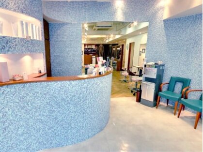ステラ STELLAの写真