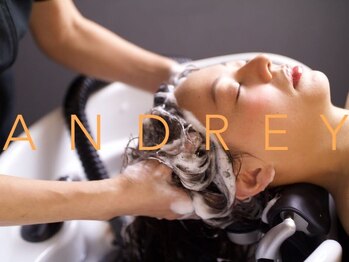 アンドレイ 表参道(andrey)の写真/＜癒されたい方◎＞ヘッドスパ(20分)+5stepトリートメント ¥6800 [ヘッドスパ/髪質改善]