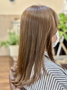 コンコードヘアー(Concord Hair) 柔らかベージュカラー