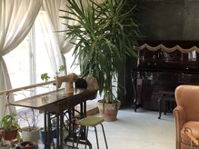 ロブリング(Roebling)の雰囲気(アンティーク家具と緑に囲まれた空間)