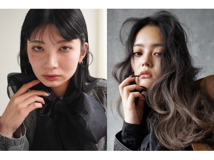 エディー(HEDI)の写真