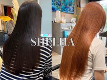 シェルハ(SHELHA)