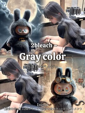 メゾン 心斎橋店(Maison) アッシュグレー