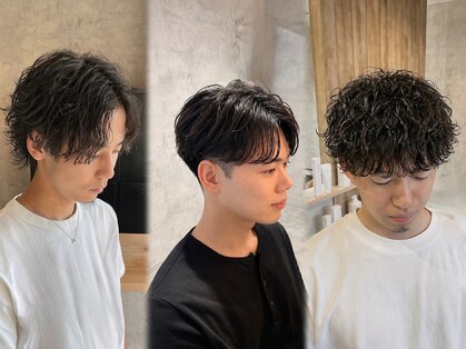 フィル(fil.)の写真