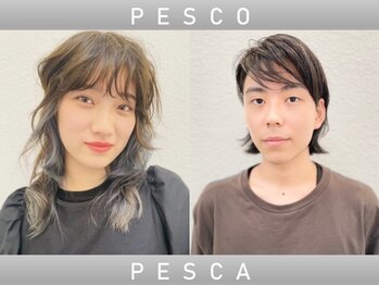 PESCO PESCA 【ペスコペスカ】
