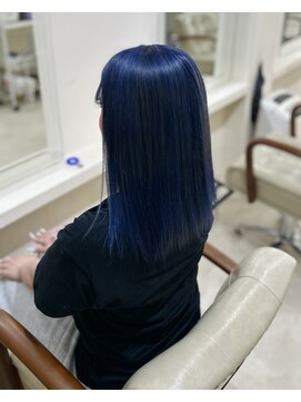 カリーナ(CARINA) ハイトーンカラー/ネイビーブルー