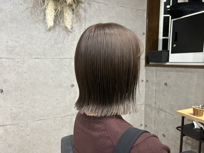 スティルバイト(STILL BITE)の写真