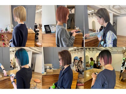 シロ(siro)の写真