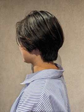 ステディー(Steady) ショート