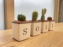 ソイル(soil)