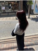 #レッドブラウン
