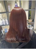 レッドブラウン/ブリーチなしダブルカラー