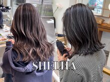 シェルハ(SHELHA)