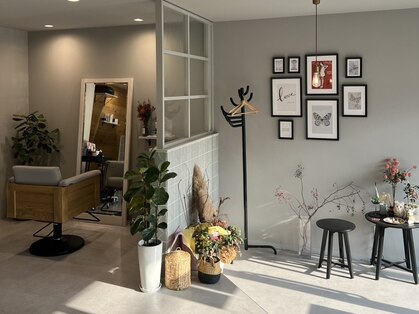 ステルラ(stella)の写真