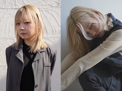 ミナリ(minari)の写真