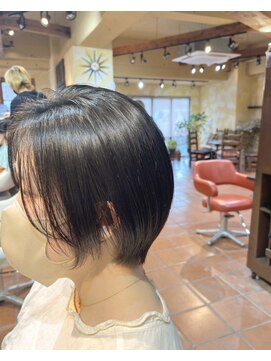 ゼクトサウス(zect SOUTH) 伸ばしかけショート