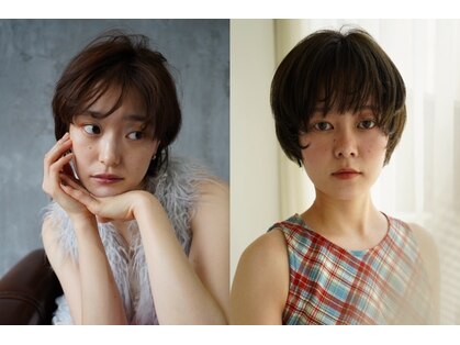 エディー(HEDI)の写真