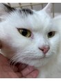 むーきち 吉祥寺(mu-kichi)&nbsp;世界一大好きな猫です！！
