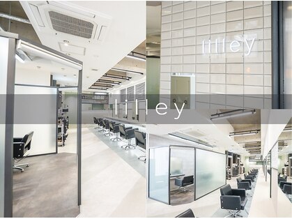 リリー(Lilley)の写真